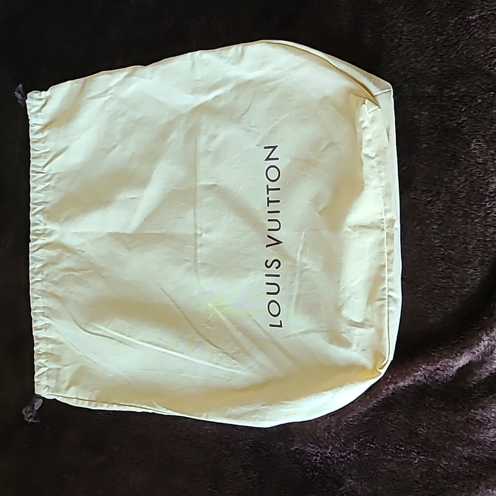 Louis Vitton cover bag